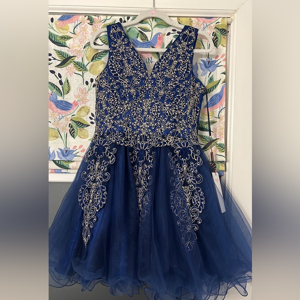 Modeling pageant dress size 6
